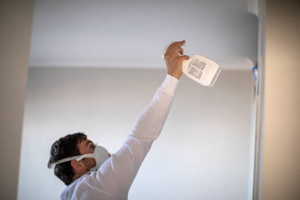Best Certified Mold Removal  in Makaha, HI