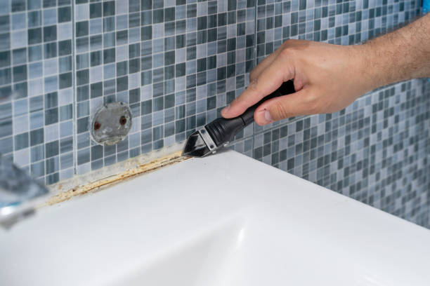 Best Mold Testing  in Makaha, HI