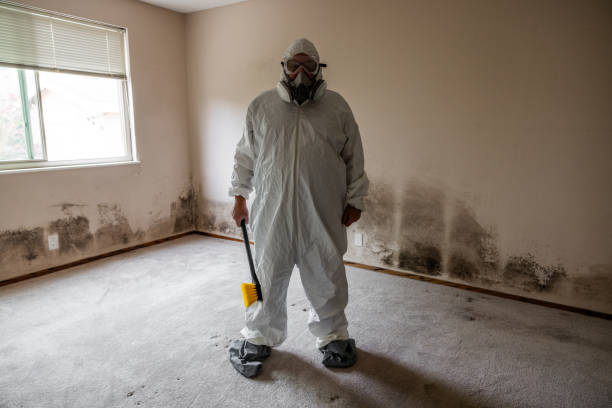 Best Mold Inspection  in Makaha, HI
